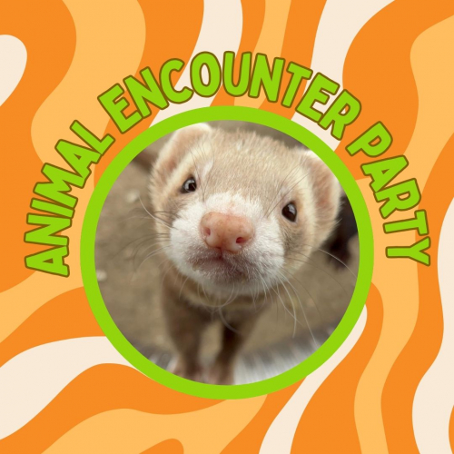 Animal Encounter Party
